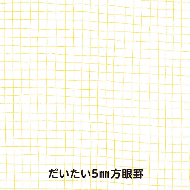 いいかげんノート ナガハシ印刷 A5サイズ いいかげんノート なつみかん だいたい5mm方眼罫 世界の筆記具ペンハウス