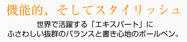 ウォーターマン ボールペン エキスパート エッセンシャル