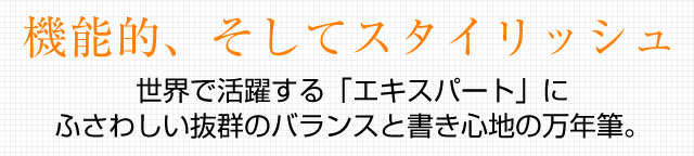 ウォーターマン 万年筆 エキスパート エッセンシャル