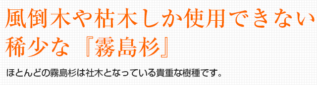 風倒木や枯木しか使用できない稀少な『霧島杉』 ほとんどの霧島杉は社木となっている貴重な樹種です。