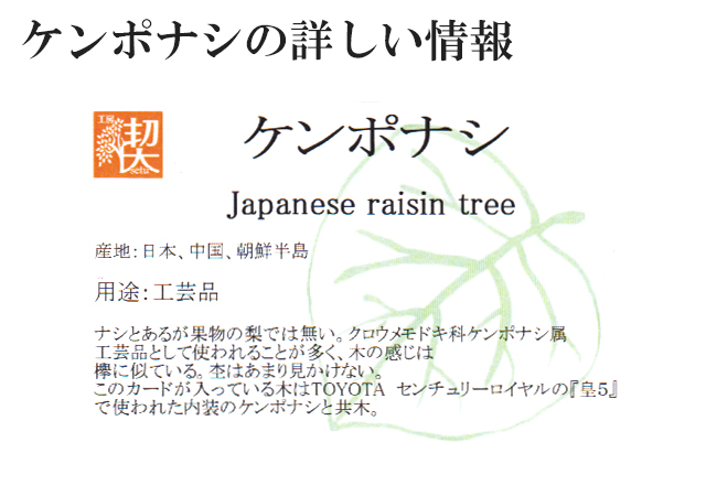 工房 楔 0.5mmペンシル楔 ケンポナシ | ペンハウス