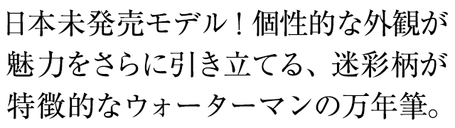 ウォーターマン 万年筆 アリュール カモフラージュCT 2105130【日本未発売モデル】