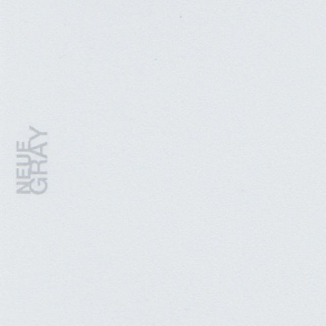 NEUE GRAY（ノイエグレー）バイブルリフィル 無地