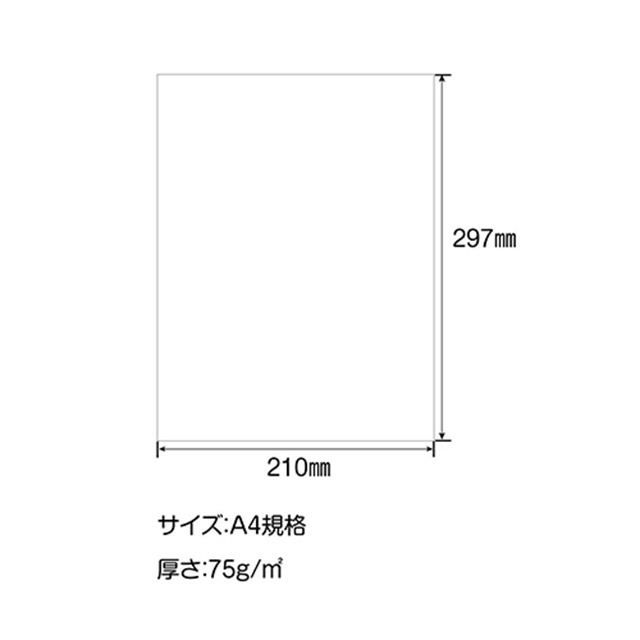 SAKAEテクニカルペーパー ルーズシート iroful A4 ホワイト 無地 PI-A4P-W