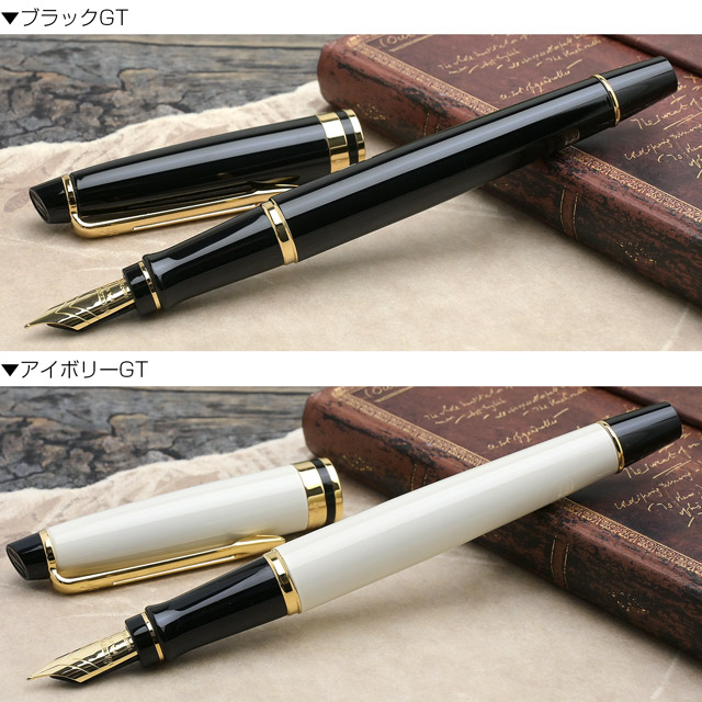 WATERMAN ウォーターマン 万年筆 エキスパート エッセンシャル 18金