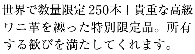 ウォーターマン 数量限定 万年筆 カレン アリゲーターST 21 66963