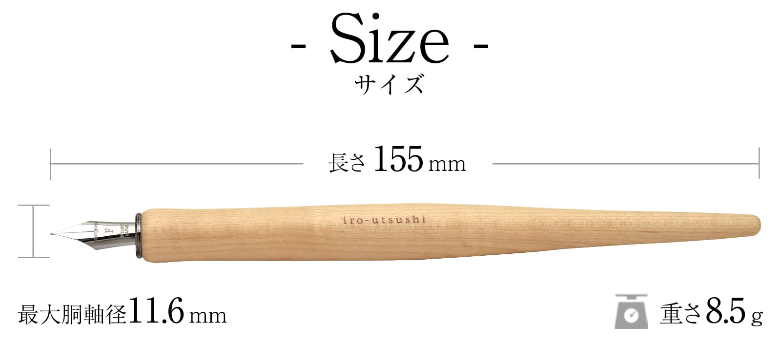 サイズ
