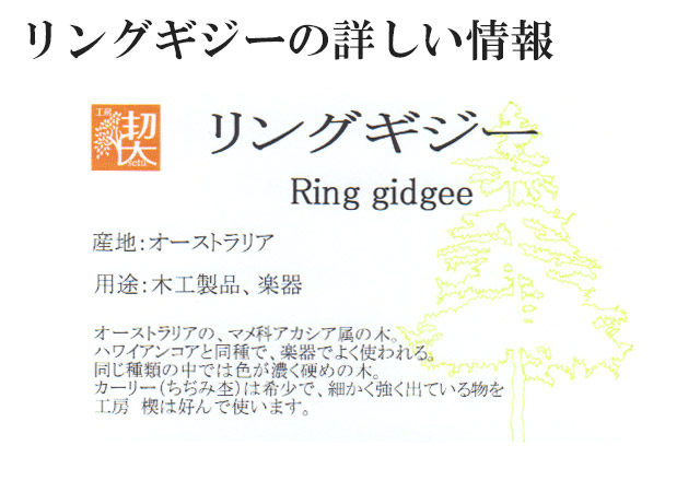 工房 楔 ボールペン ルーチェペン リングギジー | 世界の筆記具
