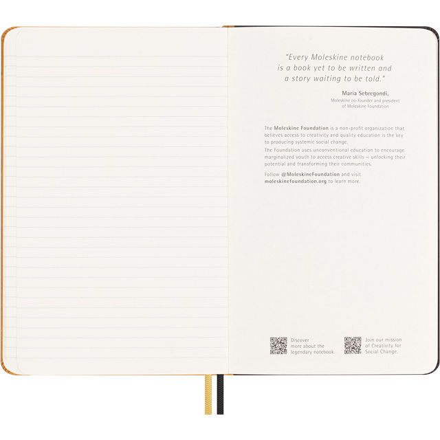 MOLESKINE（モレスキン）限定品 ノート YEAR OF THE DRAGON アン・サンス ラージサイズ 横罫 LECNYDRAGONQP060AS