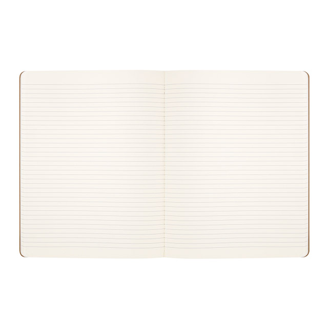 MOLESKINE（モレスキン）限定品 ノート カイエ ジャーナル ハリーポッターコレクション ウィンガーディアム・レヴィオーサ Xラージサイズ 横罫 LEHP23QP321