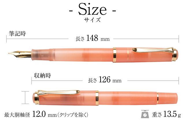 Pelikan 万年筆とインクセット ペリカン 万年筆とインクセット