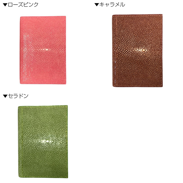 アシュフォード システム手帳 MICRO5 グルービングガルーシャ ASHFORD