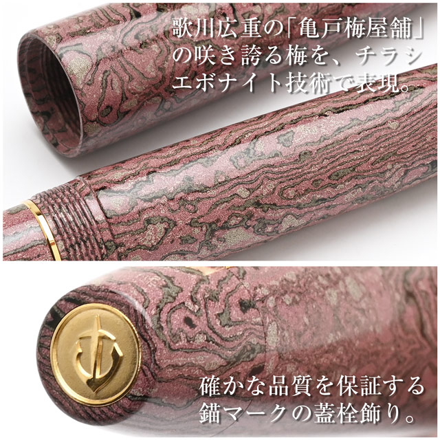 SAILOR セーラー万年筆 限定品 万年筆 長刀研ぎ 積層エボナイト 梅咲