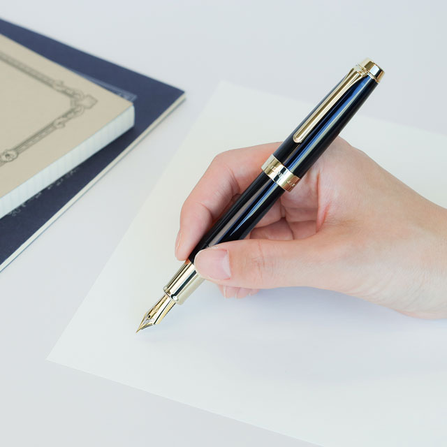 受注生産品 SAILOR セーラー万年筆 万年筆 プロフェッショナルギア