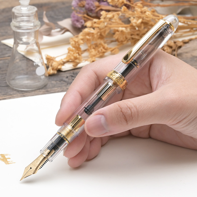 PLATINUM（プラチナ万年筆） 限定品 万年筆 ＃3776 センチュリー Ver