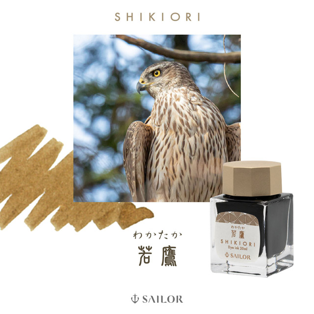 万年筆用ボトルインク SAILOR セーラー万年筆 四季織 20ml 野山の唄