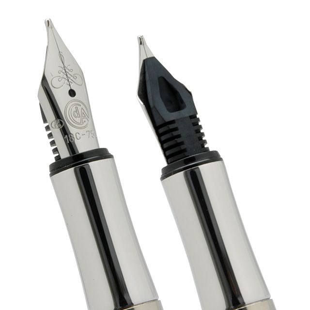 CARAN D'ACHE カランダッシュ 万年筆 バリアス 特別素材使用 4490-014 アイバンホー シルバー 世界の筆記具ペンハウス